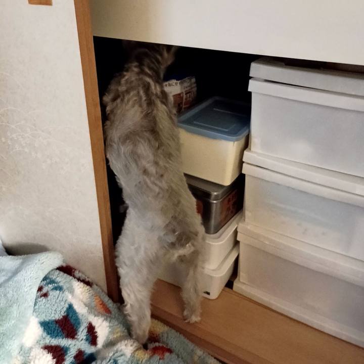 A0cb89a2 fbb9 450c a088 5e9721fbad63 1762438729619