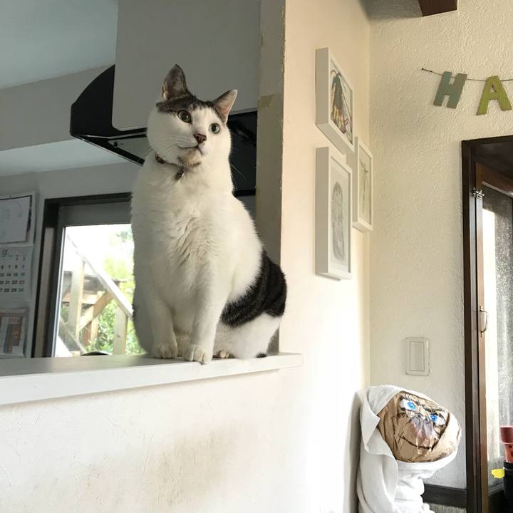 A0cb8b59 f0c7 48eb 83bc 88bdd3b708ce 1514520556838