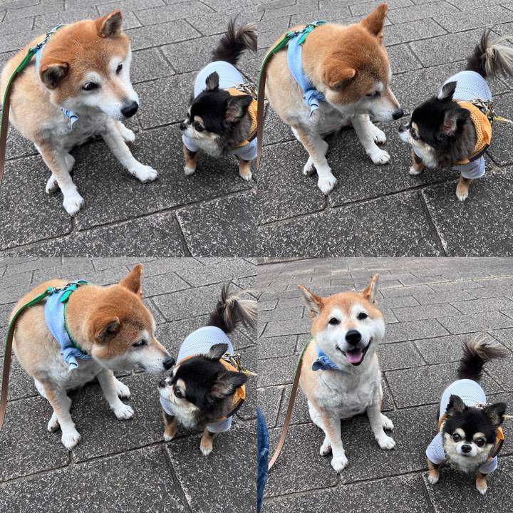 A0cb9dc0 e550 4dba 9cd8 b0b0cf381a2e 1718618724344