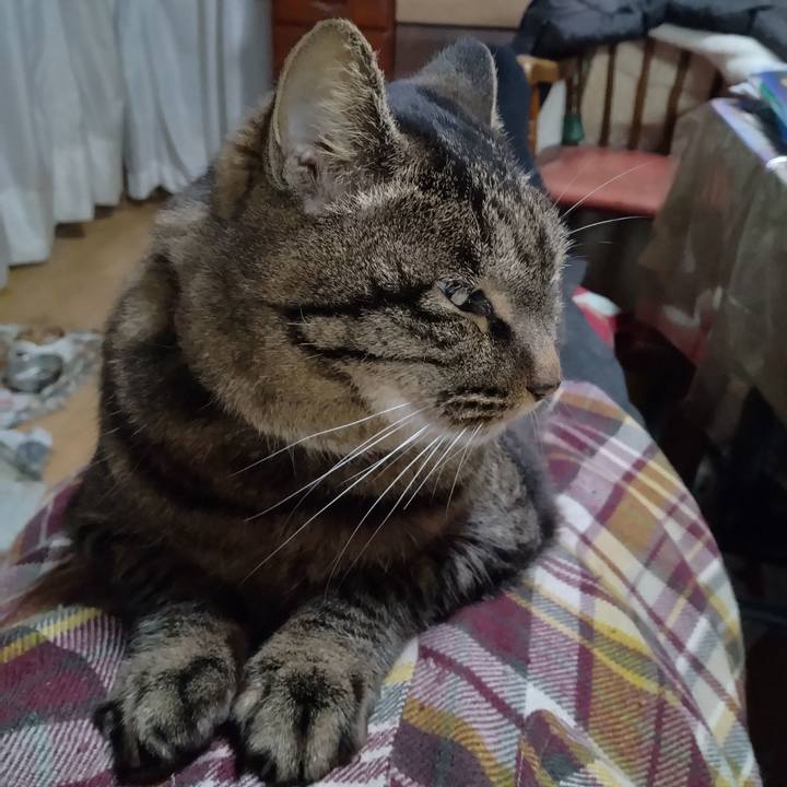 A0cba724 1860 4b83 bc1e d1f9d23d85da 1766646121869