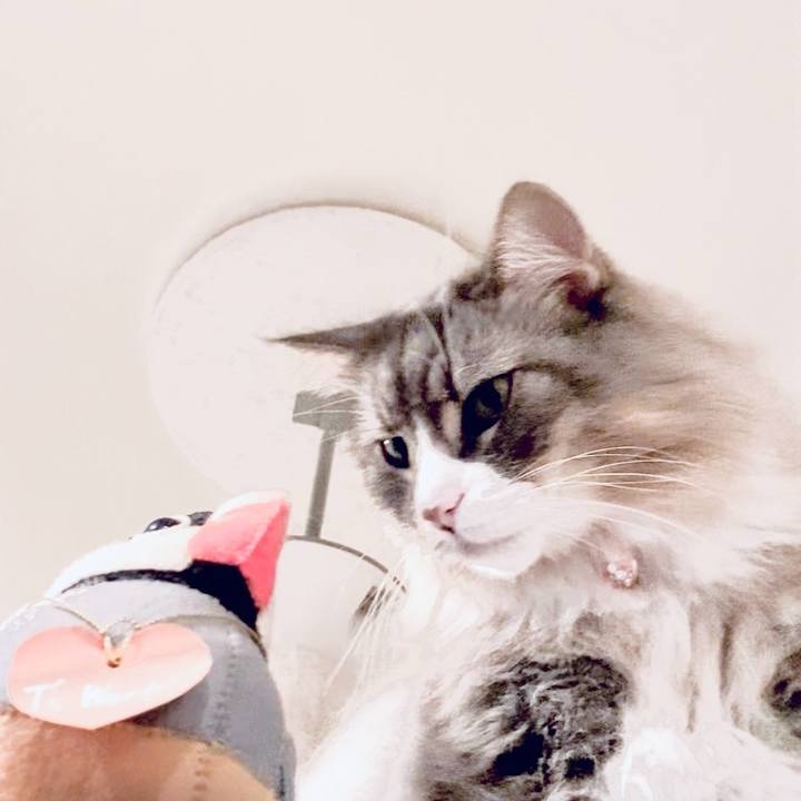 A0cbdd98 a15b 4ef6 8add a136e90e11b9 1762276459804