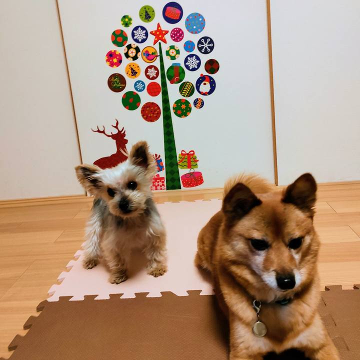 A0cc05c9 f079 4b31 b031 09760fbae252 1639252598721