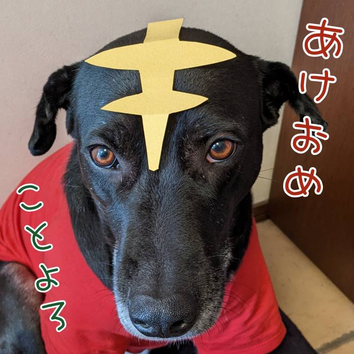 A0cc1b17 3e2a 4b46 9930 a8471cee1e6d 1640999878800