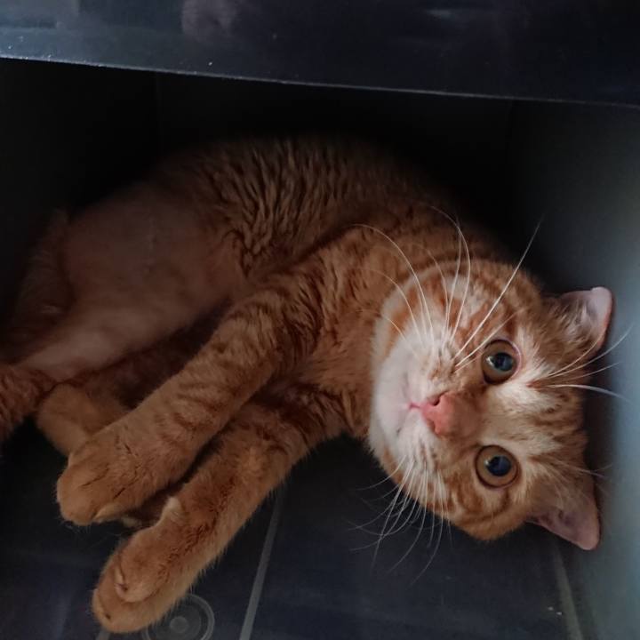 A0cca41e 81e3 495a b1ab 15787666be7f 1655623614859