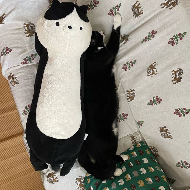 A0cca66a b8f3 4b03 b917 145ca48b92b5 1661921855663