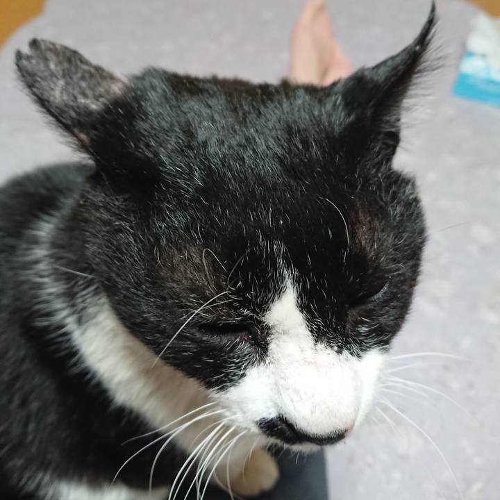 A0cce323 b3b1 432e b6f0 f35c104dcdcc 1581507521542