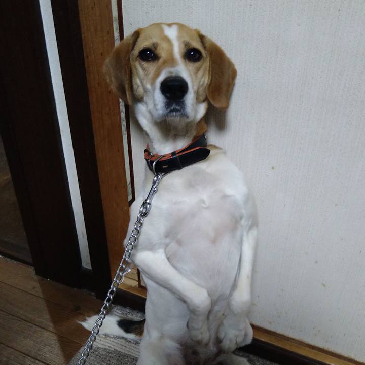 A0cd2aaf 8417 4c09 b54f c4fab233bc26 1623749829635