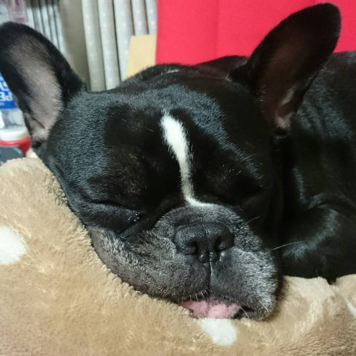 A0cd406d a1ca 43e7 9979 373eff53dbae 1508072926775