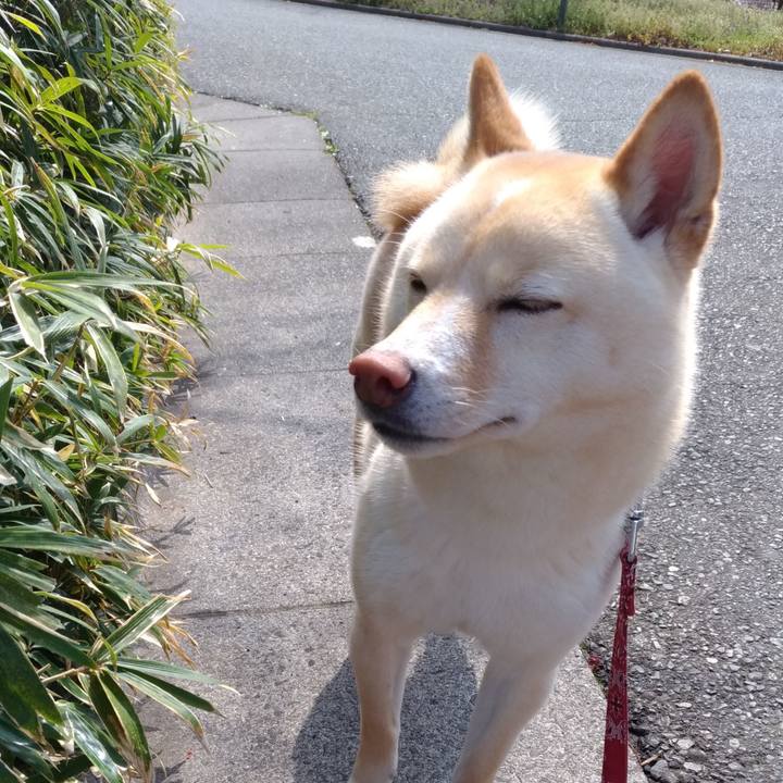 A0cd8ad4 bc84 4507 ad1e c8ee476eb28b 1554005765566