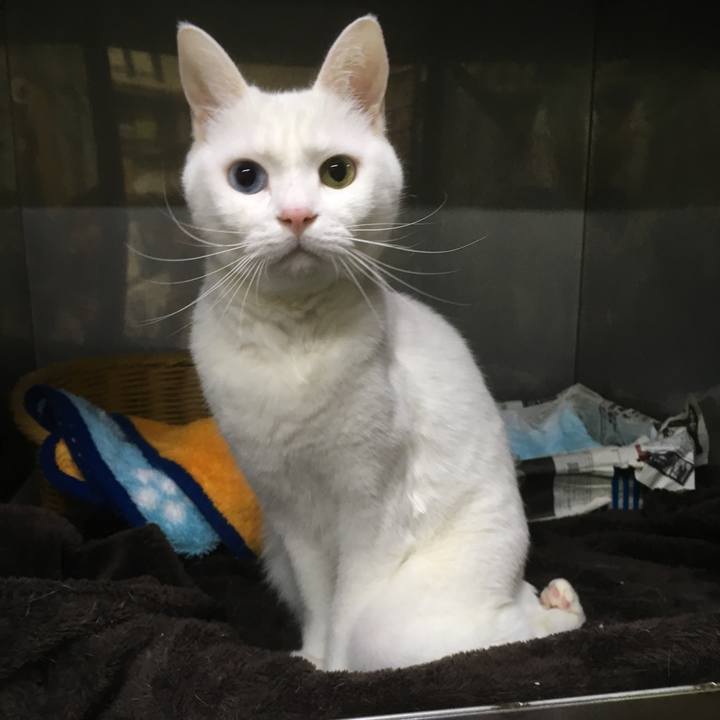 A0cdaac5 42db 40cb 8e5c 2ddcf1c97c92 1542618016073