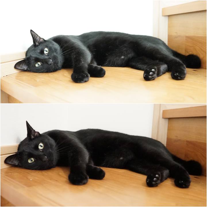 A0cdbe0f bc40 4c2e aafe 69f5a9e4ae4f 1564011746473