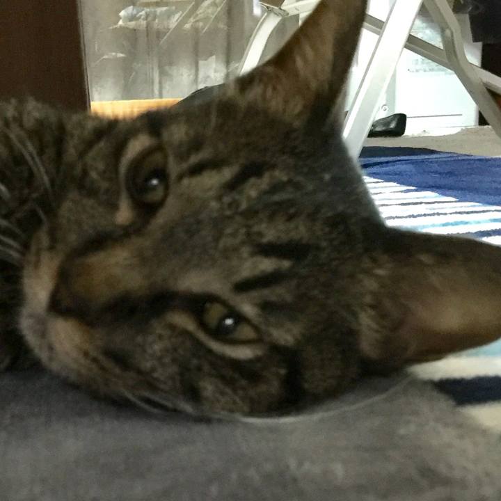 A0cdddb4 1245 4d25 a654 7ed597b50df0 1564287340944