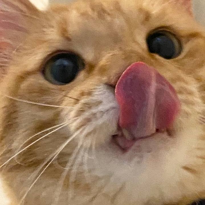 A0cde1e7 9d30 4b22 8261 1a4982dc2dce 1602897428628