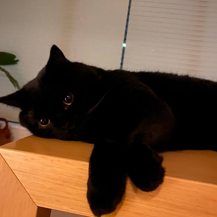 A0ce18ad 7057 406e b478 3d281d8a5dd1 1628421612447