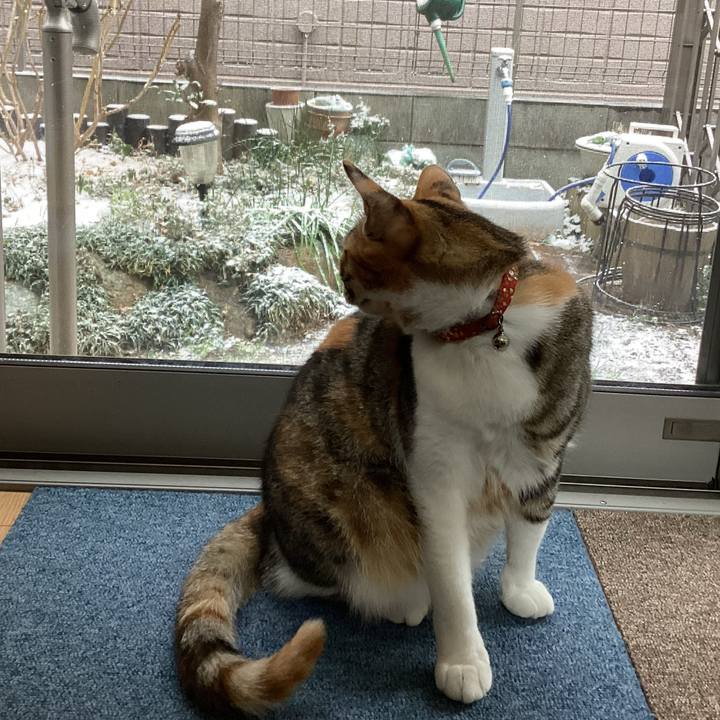 A0ce458e 88ab 4cbe 8477 119c09018433 1675987197252