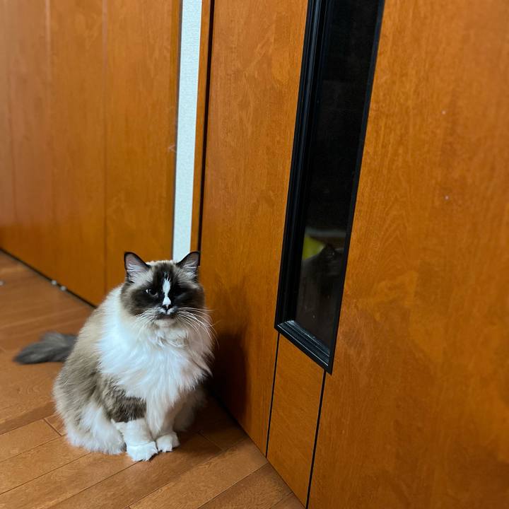 A0ce6a53 4050 4b44 a1e4 d317c826576f 1734994751629