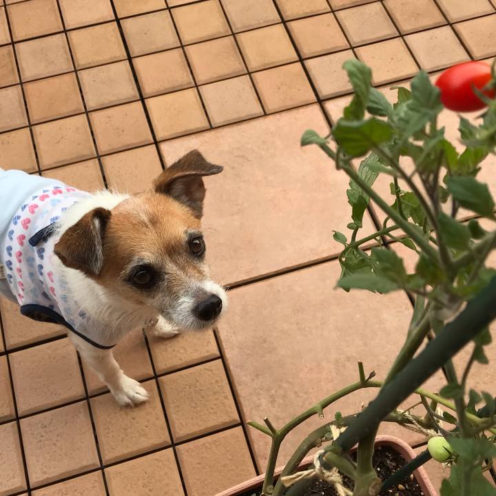 A0ce8ac4 8b5f 4a5c a7c9 1456144b1e4a 1566600605744