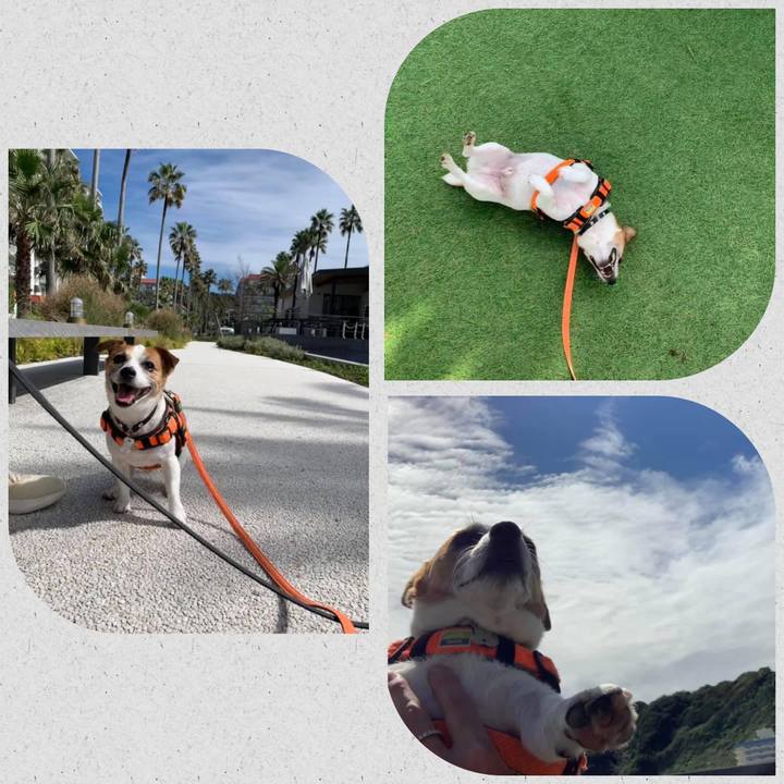 A0ceb0d5 6e65 4e86 9c59 60d09fcf83d0 1663560183896