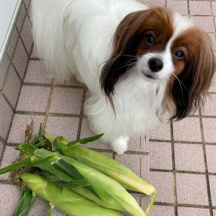 A0ceda4b b1ae 4d31 8007 8399e5573ebf 1661483118967