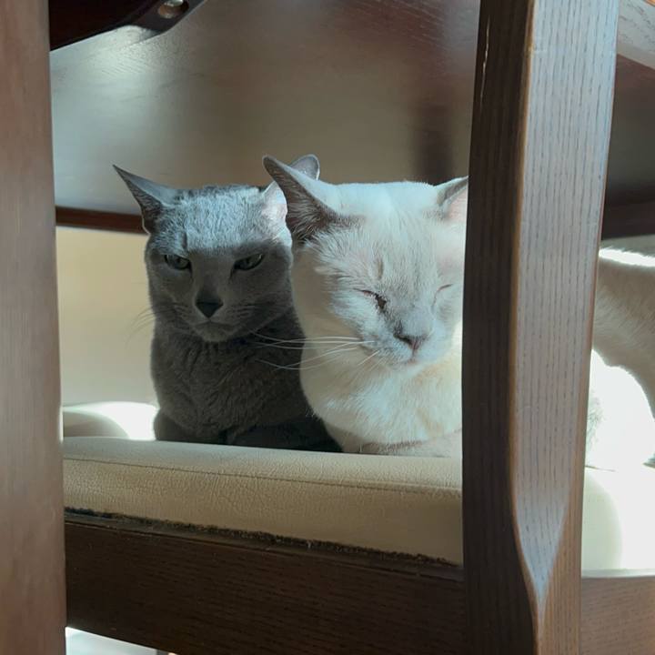 A0cf2e8e 0fb3 493c 93a1 b08793d9b636 1741646207002