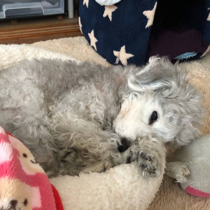 A0cf32c2 45fa 4a96 9c37 ab1b30a64fa9 1586408144273