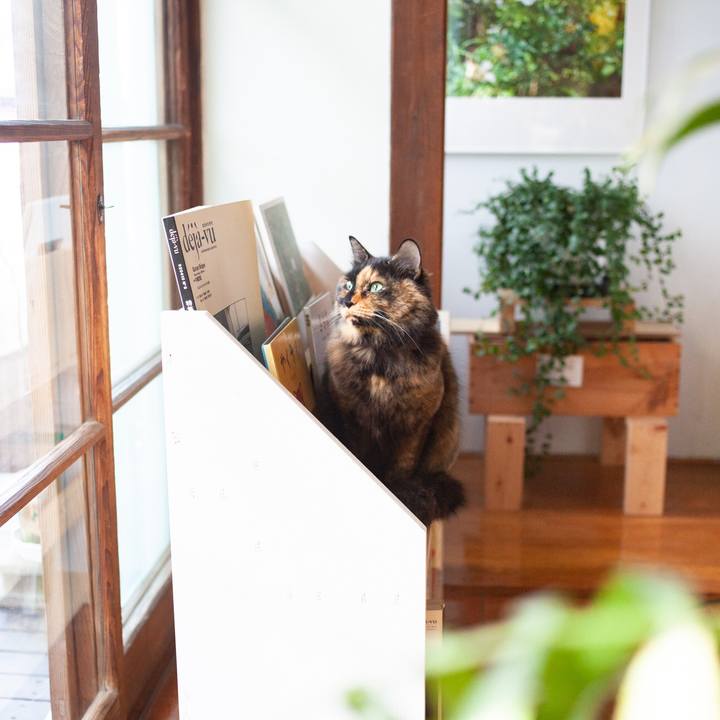 A0cf67c0 4fbc 48fa bed6 4aacaabc61d6 1580180730430