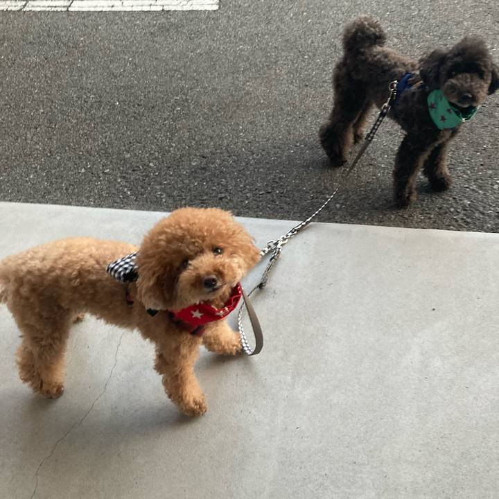 A0cf7580 fdeb 46cf be25 13437a7e1c7e 1623150846580