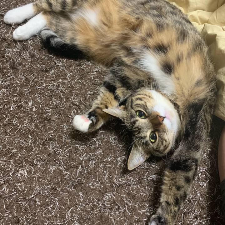 A0cf776b 0f56 45ad 8675 2a0cf57131e0 1547564242576