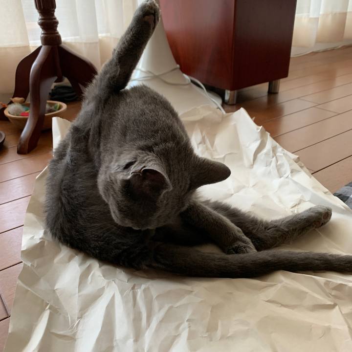 A0cf808a de05 4660 b101 d13d285b215a 1567203846212