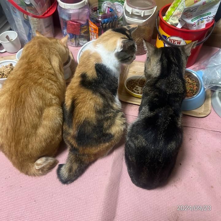 A0cfde6e 8a2a 462e 9759 15477f8e4fe5 1727130399615