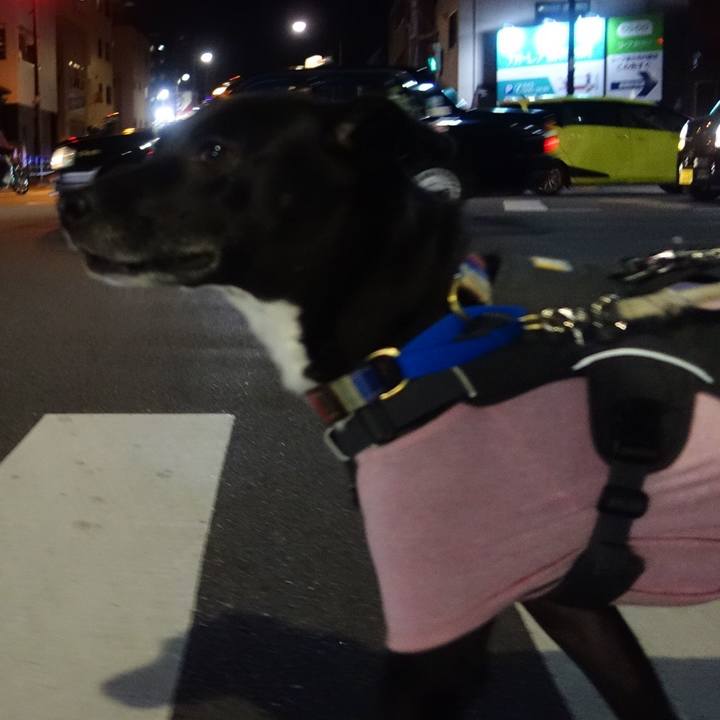 A0cfdf6d ca05 4e07 bb3f e31aa8a47594 1639998236173