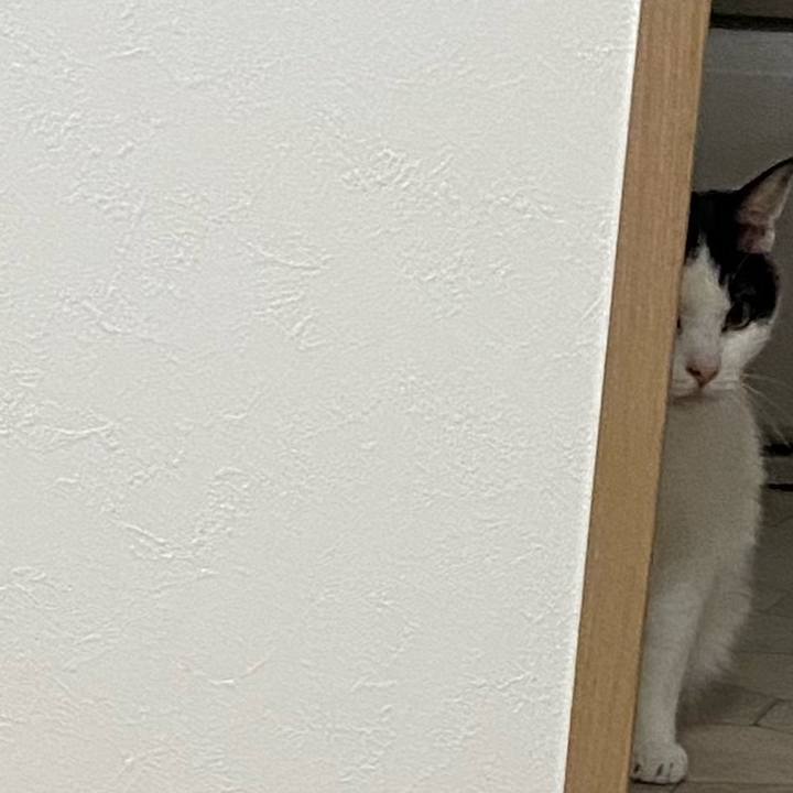 A0cfe664 020e 4b0c b900 bb9aaf3fb5ab 1587468096228