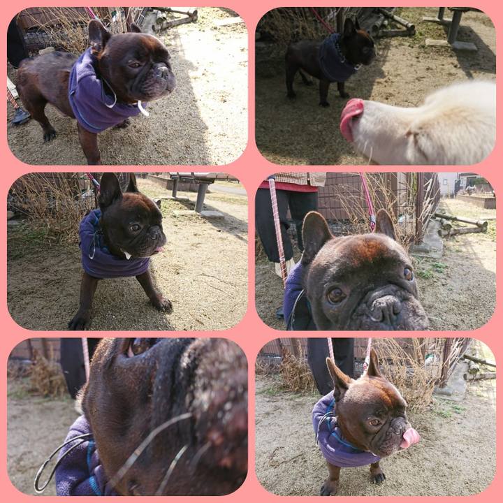 A0d00373 b313 4070 aa76 8aa0cde43695 1519959062512