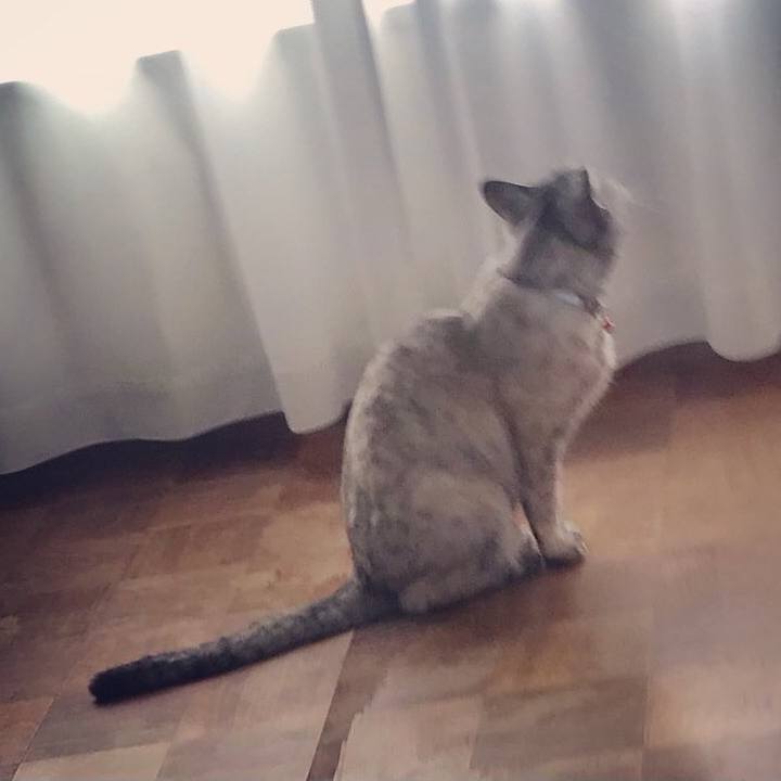 A0d01a53 0344 454a a323 c3ea326dcc73 1649225403309