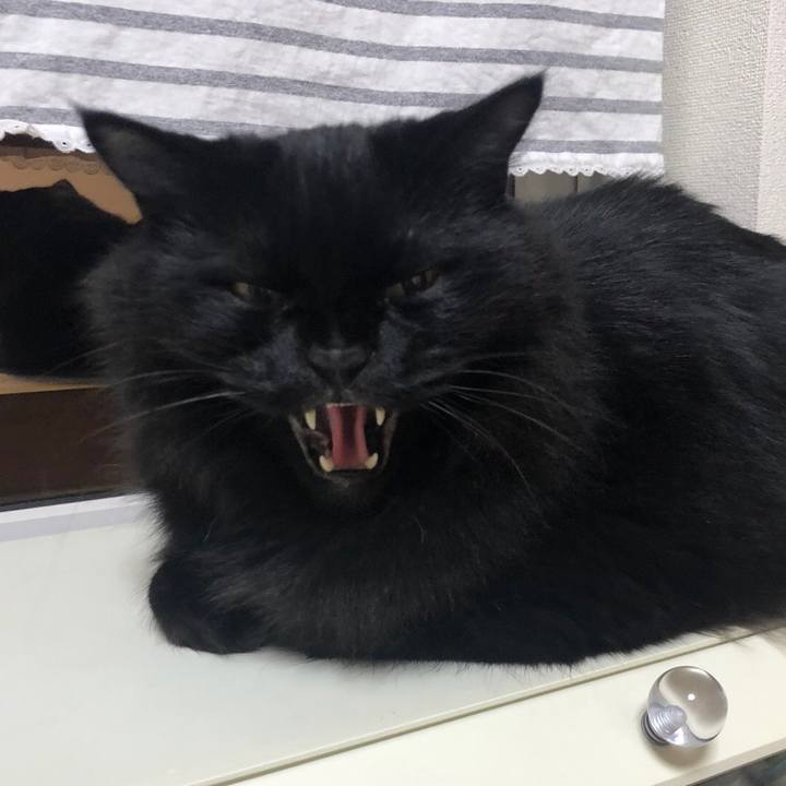 A0d034fd ad0f 4a99 8969 5b45ae36e2c5 1541269437720