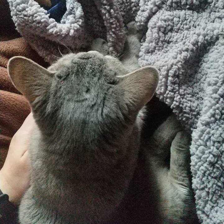 A0d04348 9e29 4b85 a8a0 f61abfe99911 1680654664352