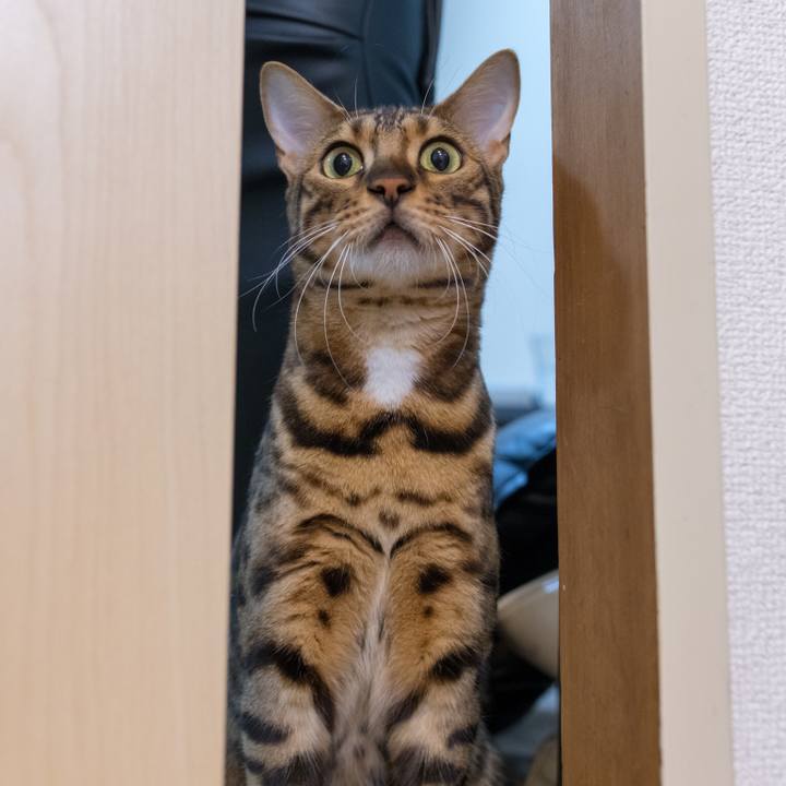 A0d08622 ccd5 4be9 a9e7 91c595d6d1ae 1519828683795