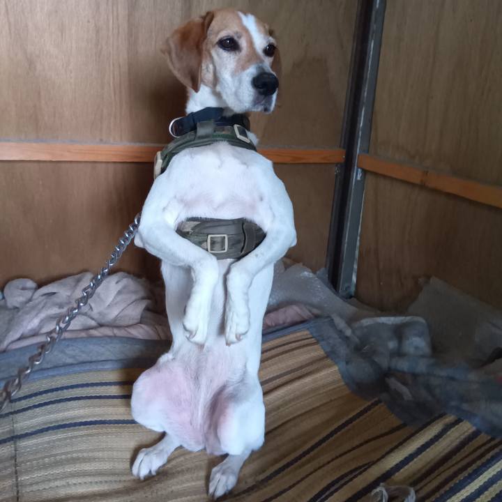 A0d09e0d 8bf5 43af 92fc aad27caa2b9d 1721119151855