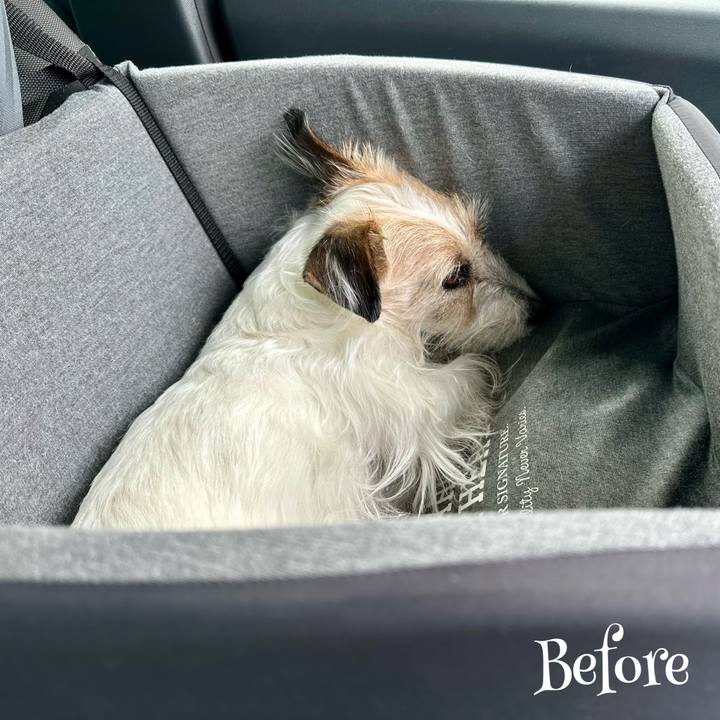 A0d0fa40 2f7d 4ec9 93a2 be401712cb43 1712584178557