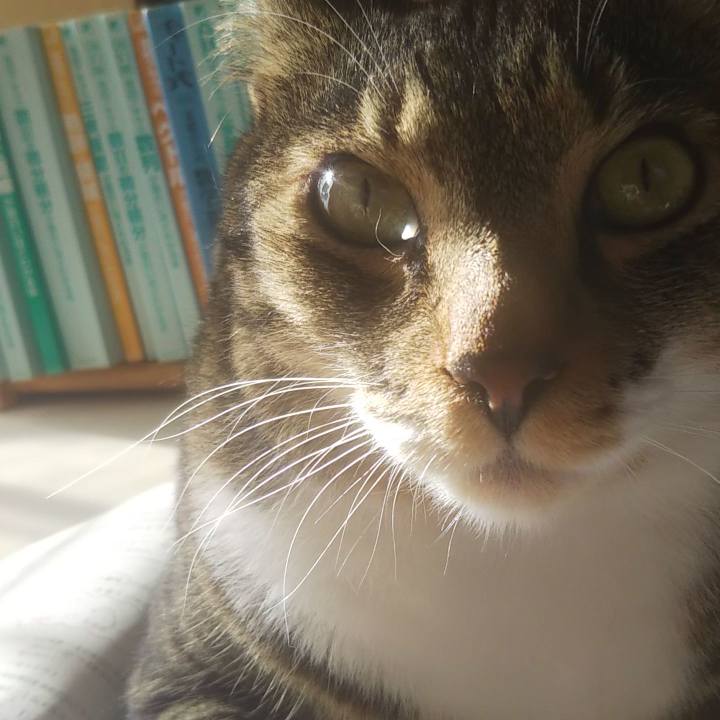 A0d0feb1 e3a0 4eb0 847b 1869e74d1d7e 1606749405522