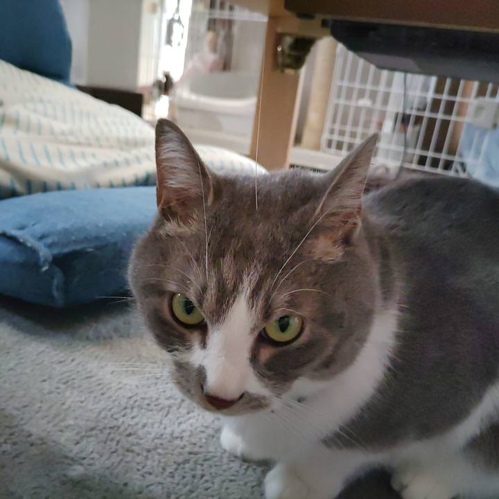 A0d12055 9df7 4d4e 9a71 e73b4e8c9a8d 1684032568879