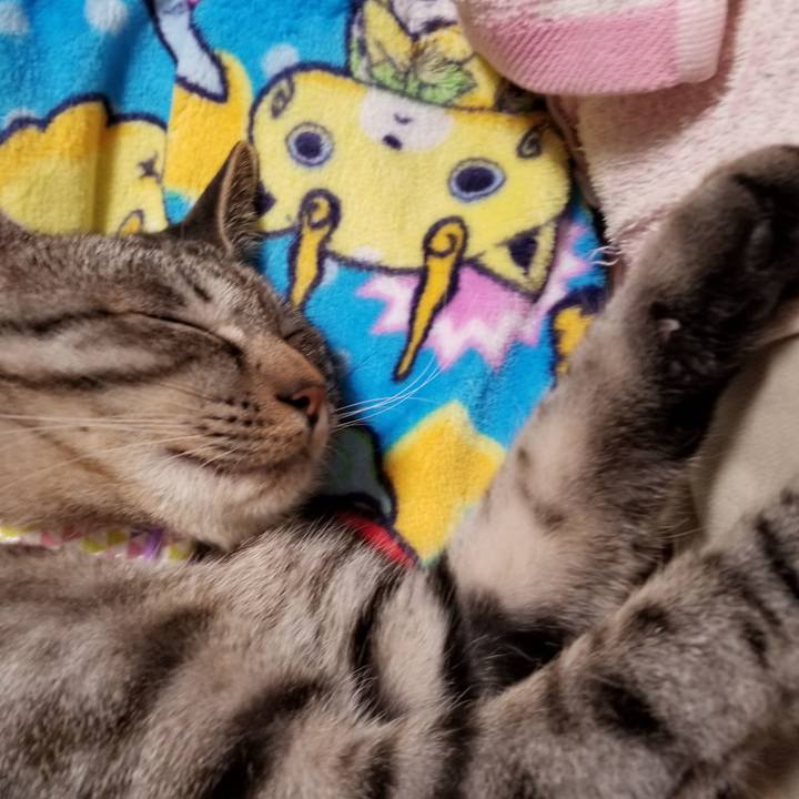 A0d1262a 2d36 45c3 857b 6289ead9860c 1680535667451