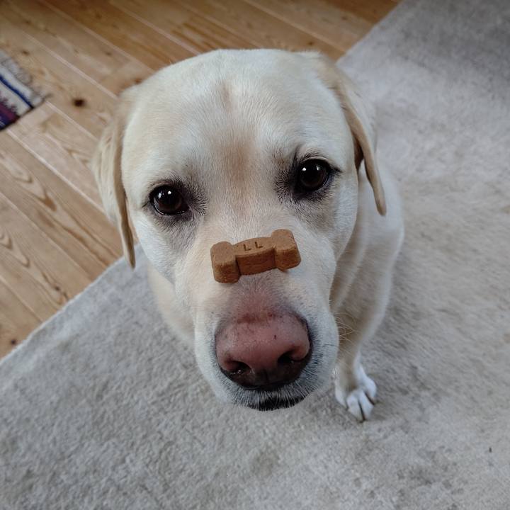 A0d12d88 ccec 49e6 b2f6 7ddac91d23ec 1692701077447