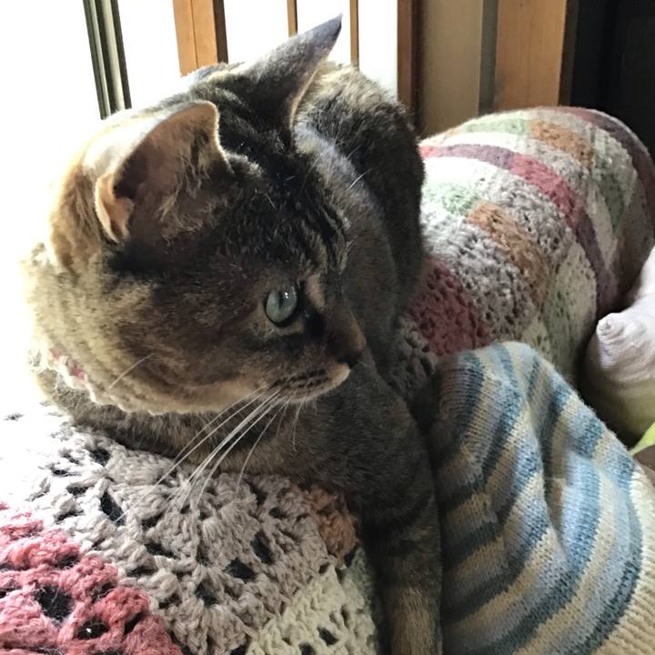 A0d13e7f 8b6d 4284 b770 b37b9caf76ef 1651040665275