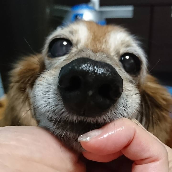 A0d14a45 6060 4cb2 9e54 f2faec6e9d98 1511614081571