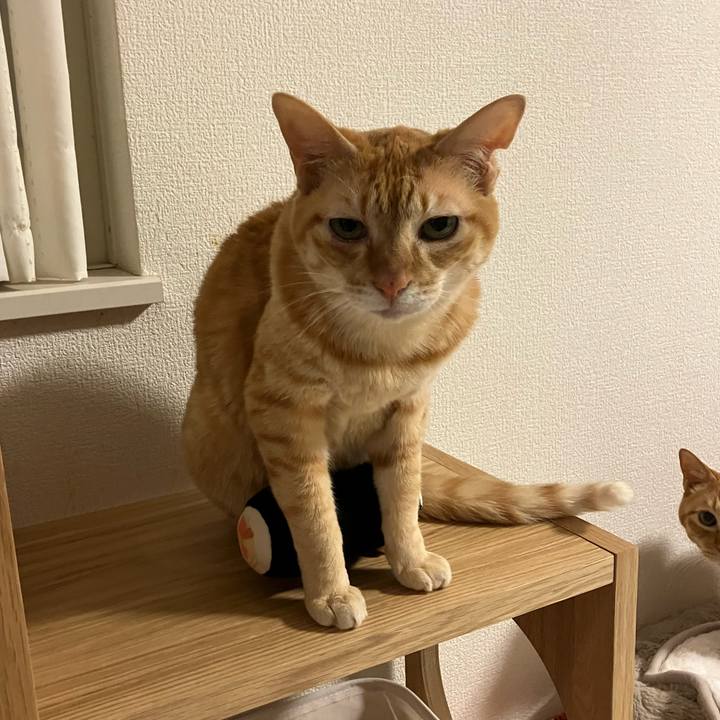 A0d15a4d 95d5 4d92 8605 b49c4d4c09c0 1769858276427