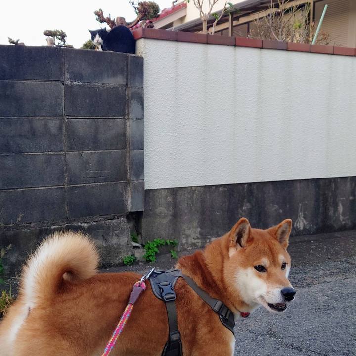 A0d18069 548c 4f24 b948 e7da1af3fe42 1765078797200