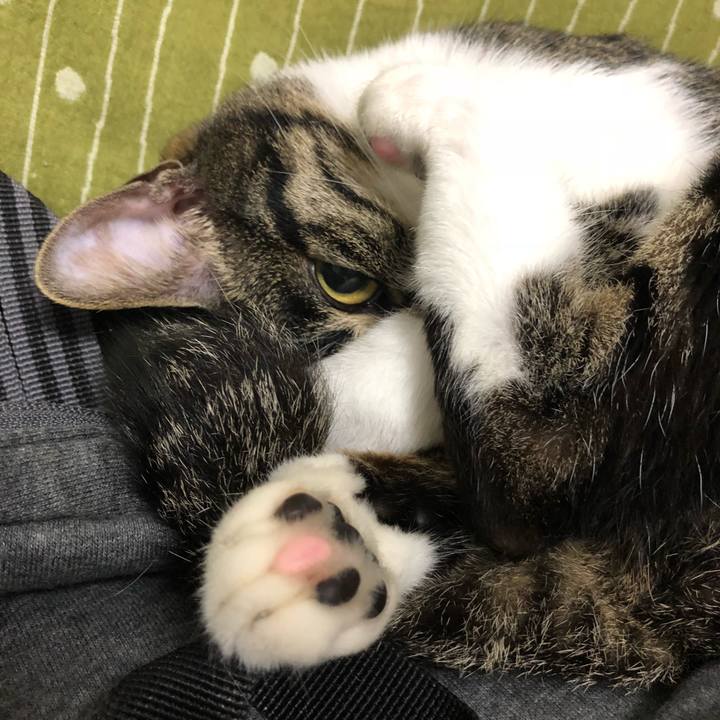 A0d18c65 05f2 4fe5 a2ca a551e191a790 1523028504496