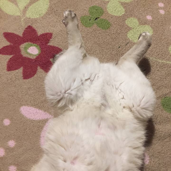 A0d1b33a 4302 4f89 b6d1 a2fdff78ded2 1573420872811