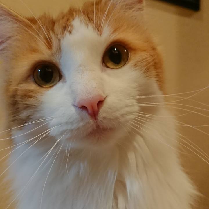 A0d1cb01 f795 4bec b9b3 3d86f6708f25 1525322137330